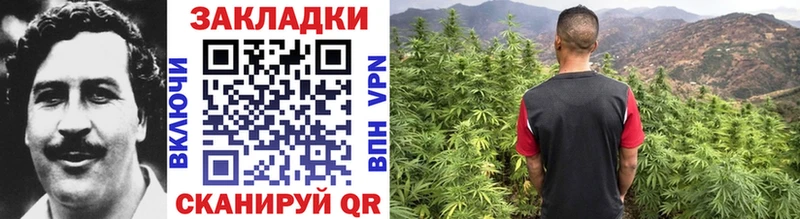 Как найти закладки Зеленогорск Амфетамин  Каннабис  А ПВП  Гашиш  МЕФ  Cocaine 