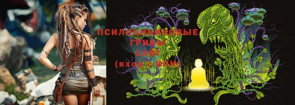 бошки Балахна