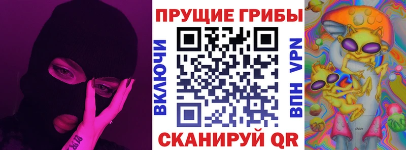 продажа наркотиков  Зеленогорск  Псилоцибиновые грибы Psilocybine cubensis 